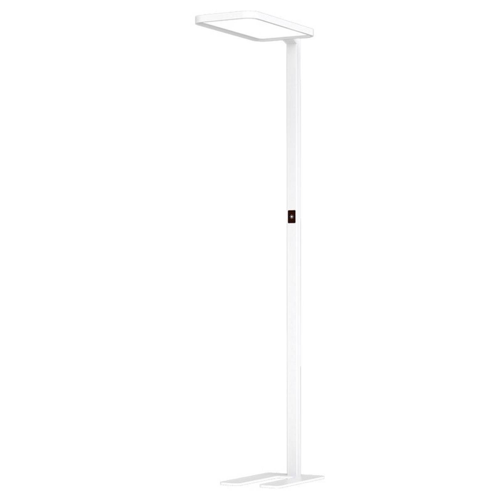 B�ro-Stehleuchte STUDIObutler 80W 4000K mit Anwesenheitssensor, dimmbar