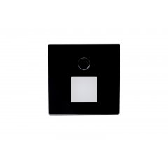 Abdeckung Square Glas f�r Alwaid Pro Wandeinbauleuchte Motion, viereckiger Lichtkegel, Schwarz, Glas