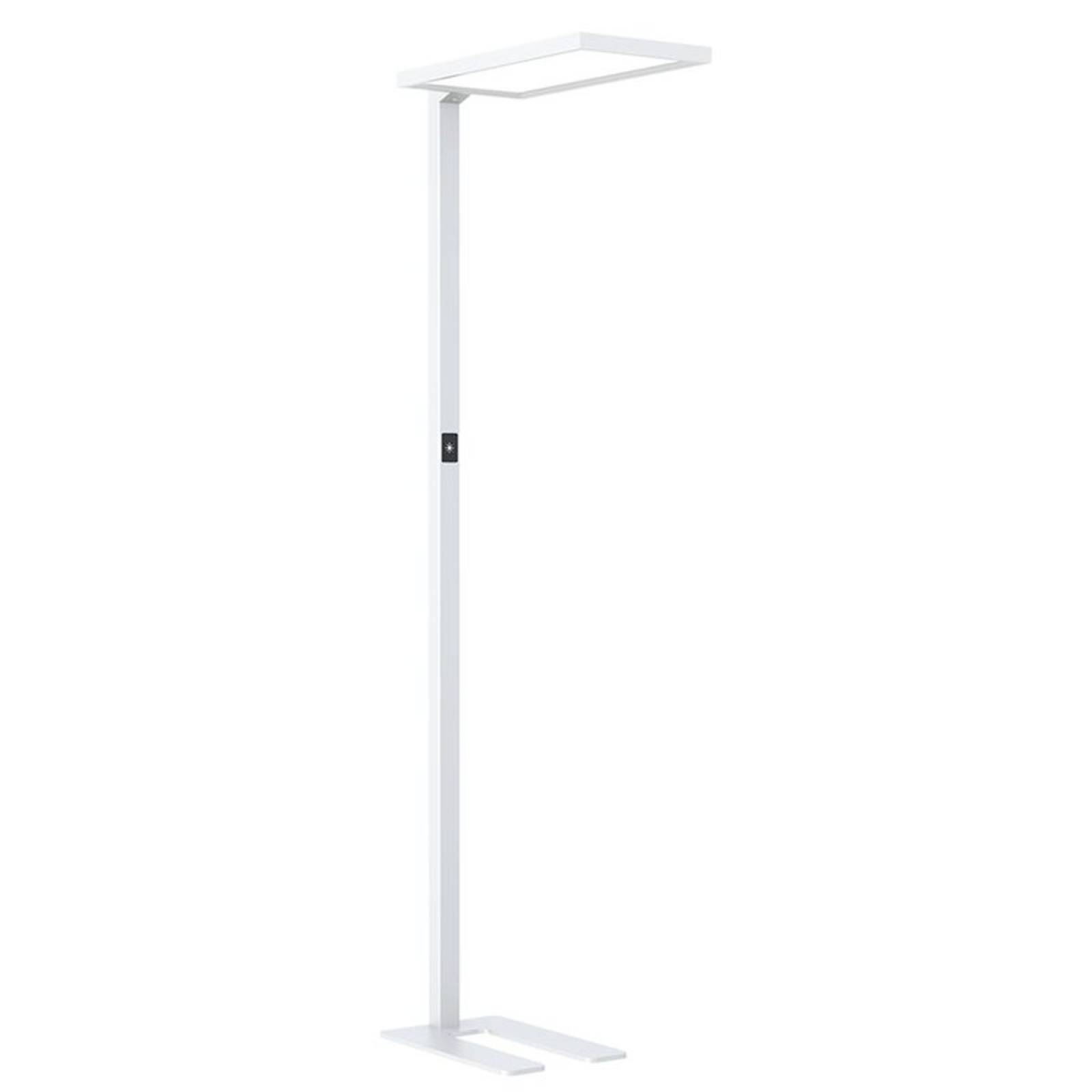 DOTLUX B�ro LED-Stehleuchte ROOFbutler 80W 4000K, mit Anwesenheitssensor, dimmbar wei�
