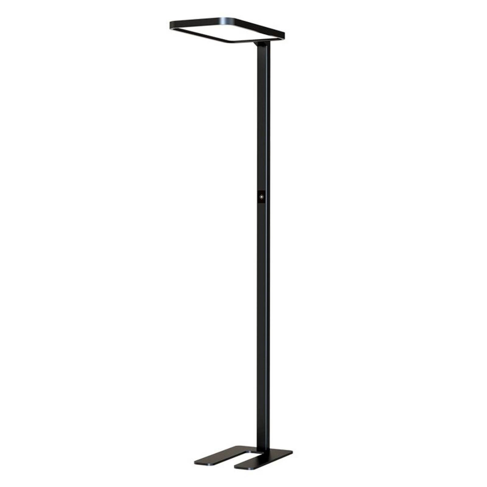 DOTLUX B�ro LED-Stehleuchte STUDIObutler 80W 4000K mit Anwesenheitssensor, dimmbar, schwarz