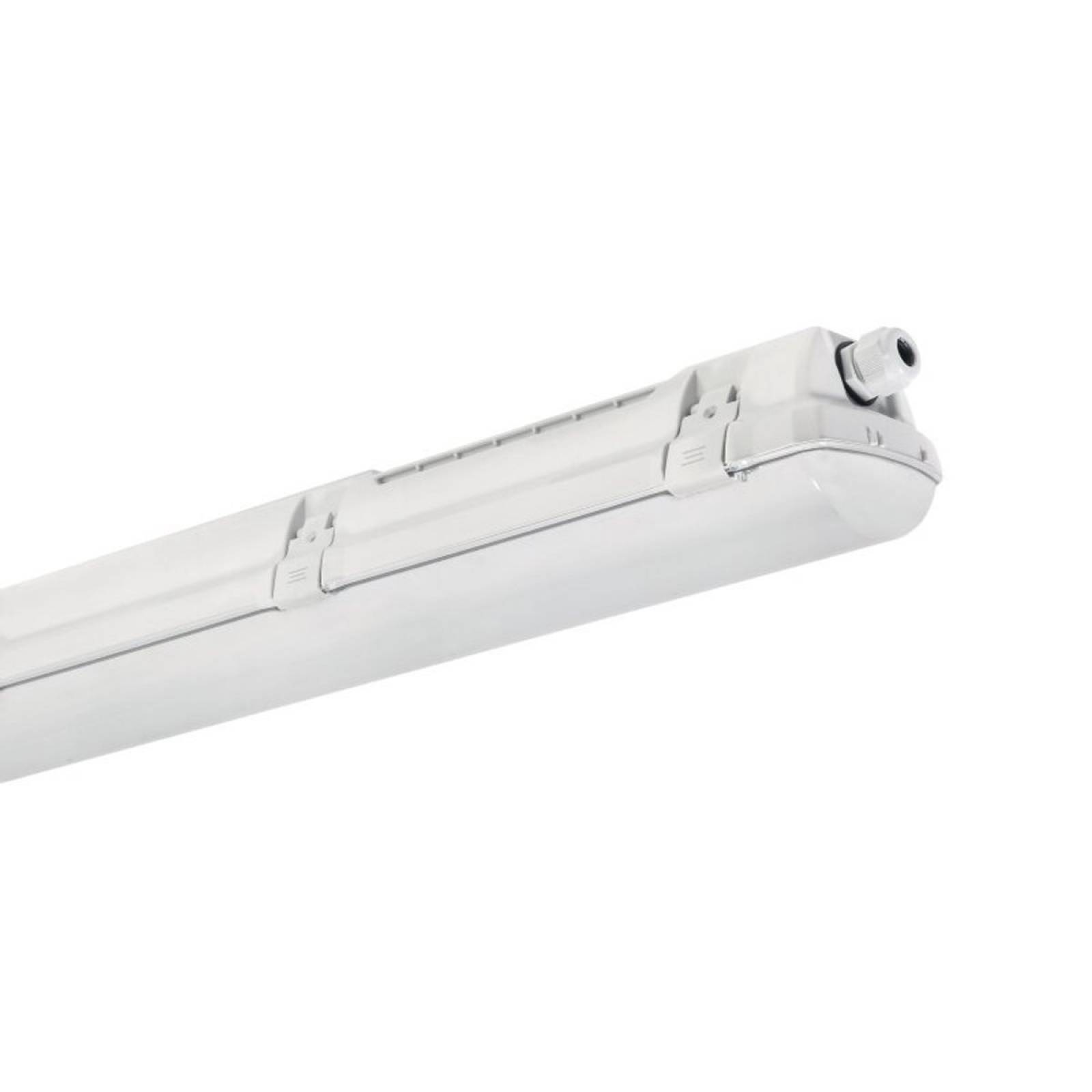 DOTLUX LED-Feuchtraumleuchte MISTRALbasic IP66/IP69 120cm, 4000K