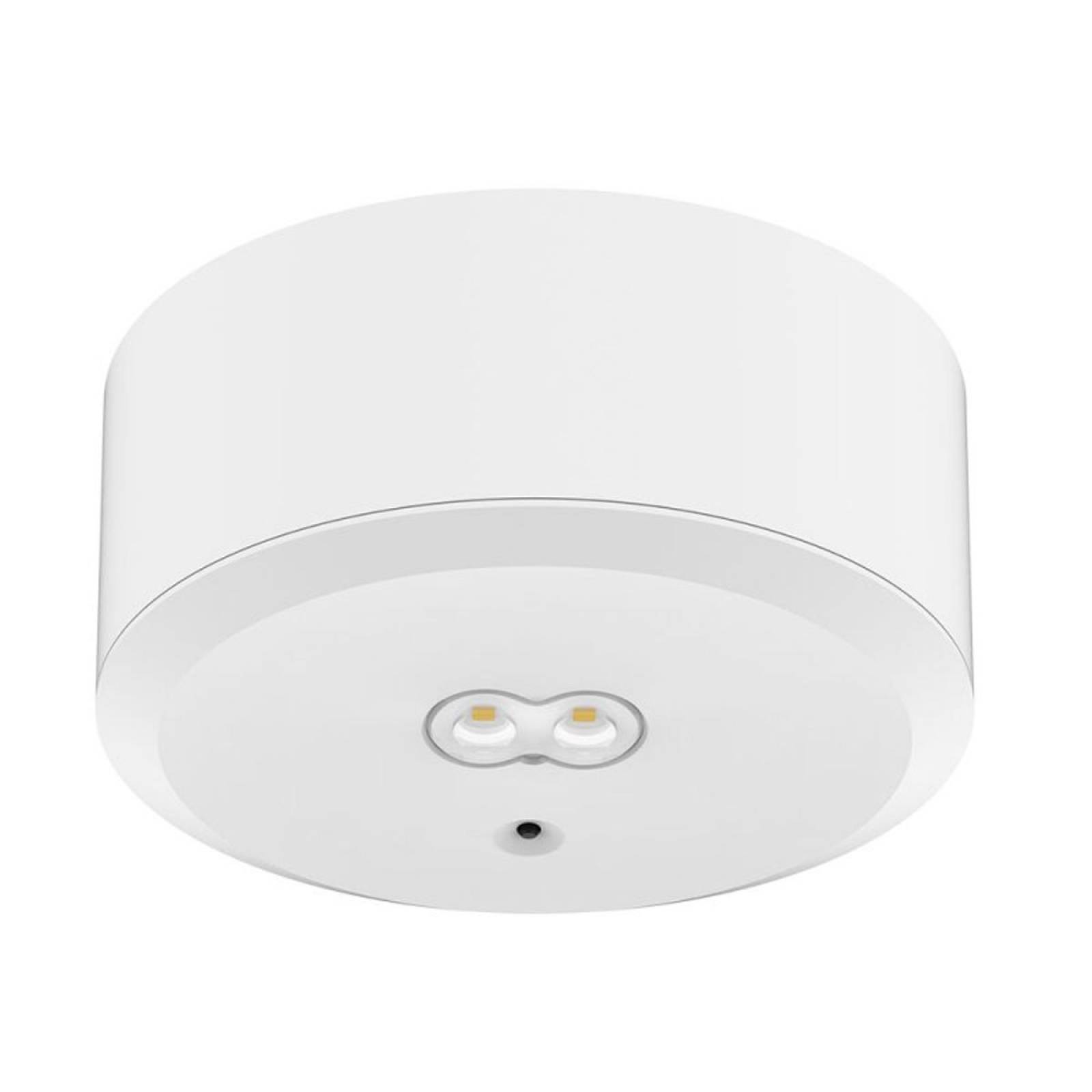 DOTLUX LED-Sicherheitsleuchte EXITtop mit Selbsttest inkl. 2 austauschbaren Linsen wei� 8h