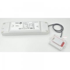 Netzger�t inkl. Bewegungs- und Tageslichtsensor 750mA, 40W, 30-50V