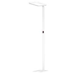 B�ro-Stehleuchte STUDIObutler 80W 4000K mit Anwesenheitssensor, dimmbar