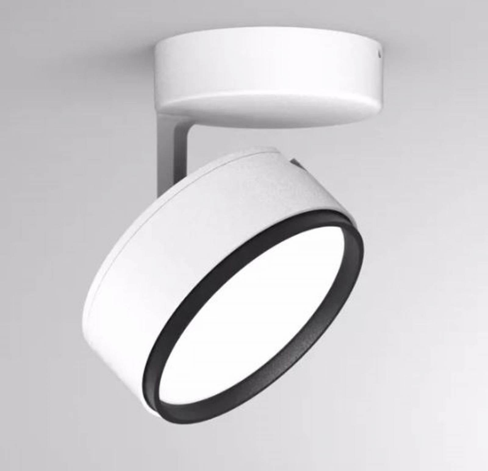 Deckenaufbaustrahler Molto Luce 10W, LITIN 2 SD, Wei�, Diffusor opal, Schwarz, 4000K