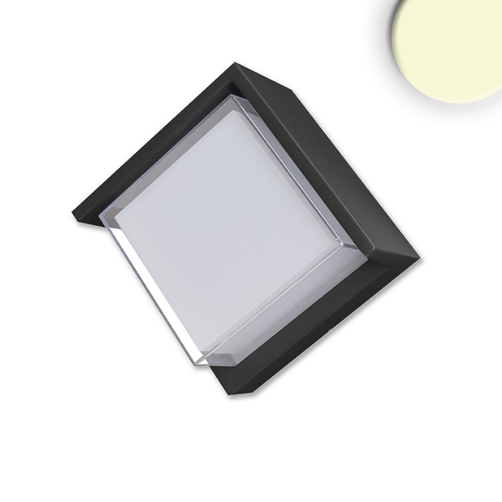 Eckige Au�enwandleuchte, LED 6W, IP54, schwarz, warmwei� von Isoled