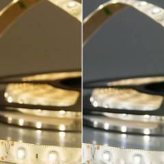 ISOLED LED Stripe 12V SIL 4,8W, einfarbig, IP66, 5m Rolle 60 LED/m