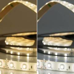 ISOLED LED Stripe 24V SIL 4,8W, einfarbig, IP66, 5m Rolle 60 LED/m