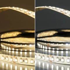 ISOLED LED Stripe 24V SIL 9,6W, einfarbig, IP66, 5m Rolle 120 LED/m