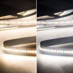 ISOLED LED Stripe Linear10 CRI90+, 24V DC, 22W/m, IP20, einfarbig, 5m/20m