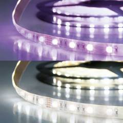 ISOLED LED Stripe 24V SIL 19W, RGB+kaltwei� 6200K, 5m, 60 LED/m