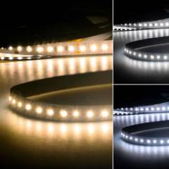 ISOLED LED CC Stripe 24V 12W/m IP20 15m Rolle 120� einfarbig