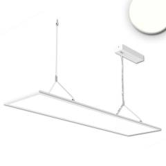 LED B�ro H�nge-/ Pendelleuchte Panel Up+Down, 20+20W, 30x120cm, wei�, UGR19, 4000K, dimmbar, eckig