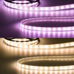 ISOLED LED Stripe AQUA RGBWW IP68 wasserdicht, klar, 24V, 19W/m, 5m, Breite 12,5mm