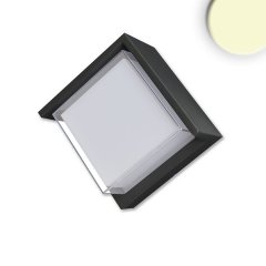 Eckige Au�enwandleuchte, LED 6W, IP54, schwarz, warmwei� von Isoled