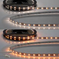 MiniAMP LED Stripe CRI919/940 steckerfertig 5m, 12V, 8W/m, wei�dyn. 1900-4200K, Breite 8mm