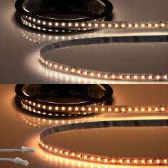 MiniAMP LED Stripe CRI919/940 steckerfertig 2,5m, 24V, 15W/m, wei�dyn. 1900-4200K, Breite 10mm