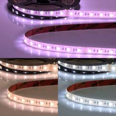 LED-Streifen AQUA RGB+CCT \(2500-6500K\) wasserdicht IP68, 5m, 24V, Breite 14,5mm