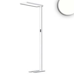 B�ro-Stehleuchte Office Pro, UGR19 Up&Down 80W/20W 4000K Touch-Dimm