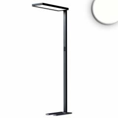 LED Office Pro Stehleuchte schwarz UGR19 80W/20W 12480lm 4000K Touch-Dimm Up&Down