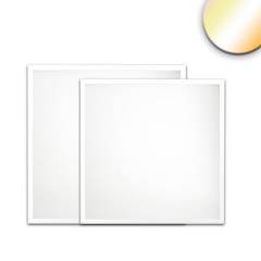 LED Panel Backlight Line 625, UGR<19, CRI90, 36W, 4350lm, ColorSwitch 3000/4000/6000K, schalt-/dimmb