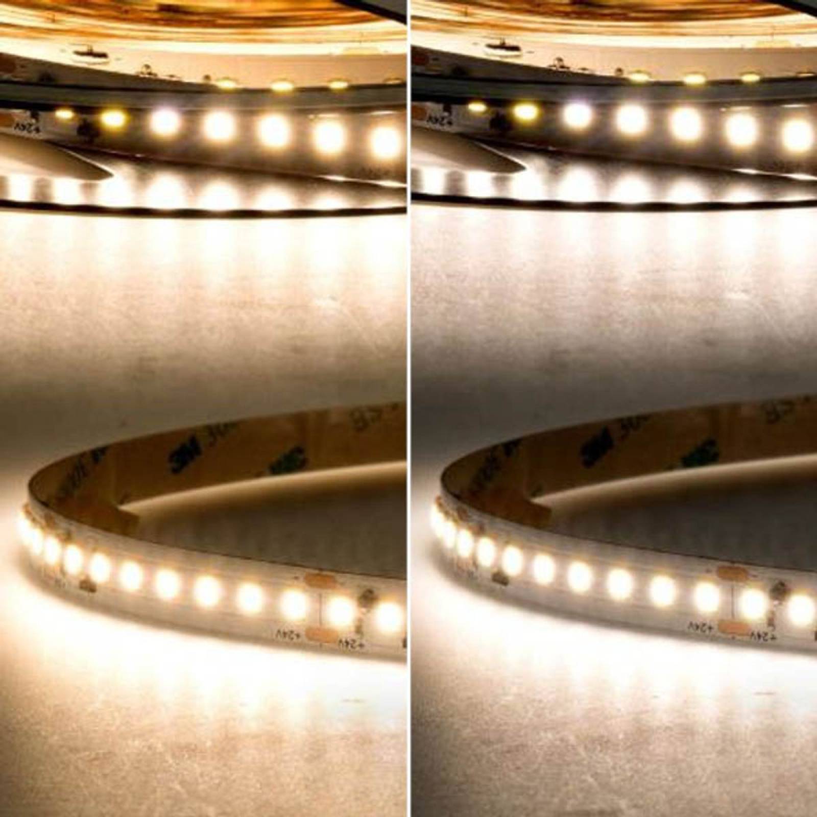 ISOLED LED CC Stripe 5m High-Lumen 24V 21W/m einfarbig 120�