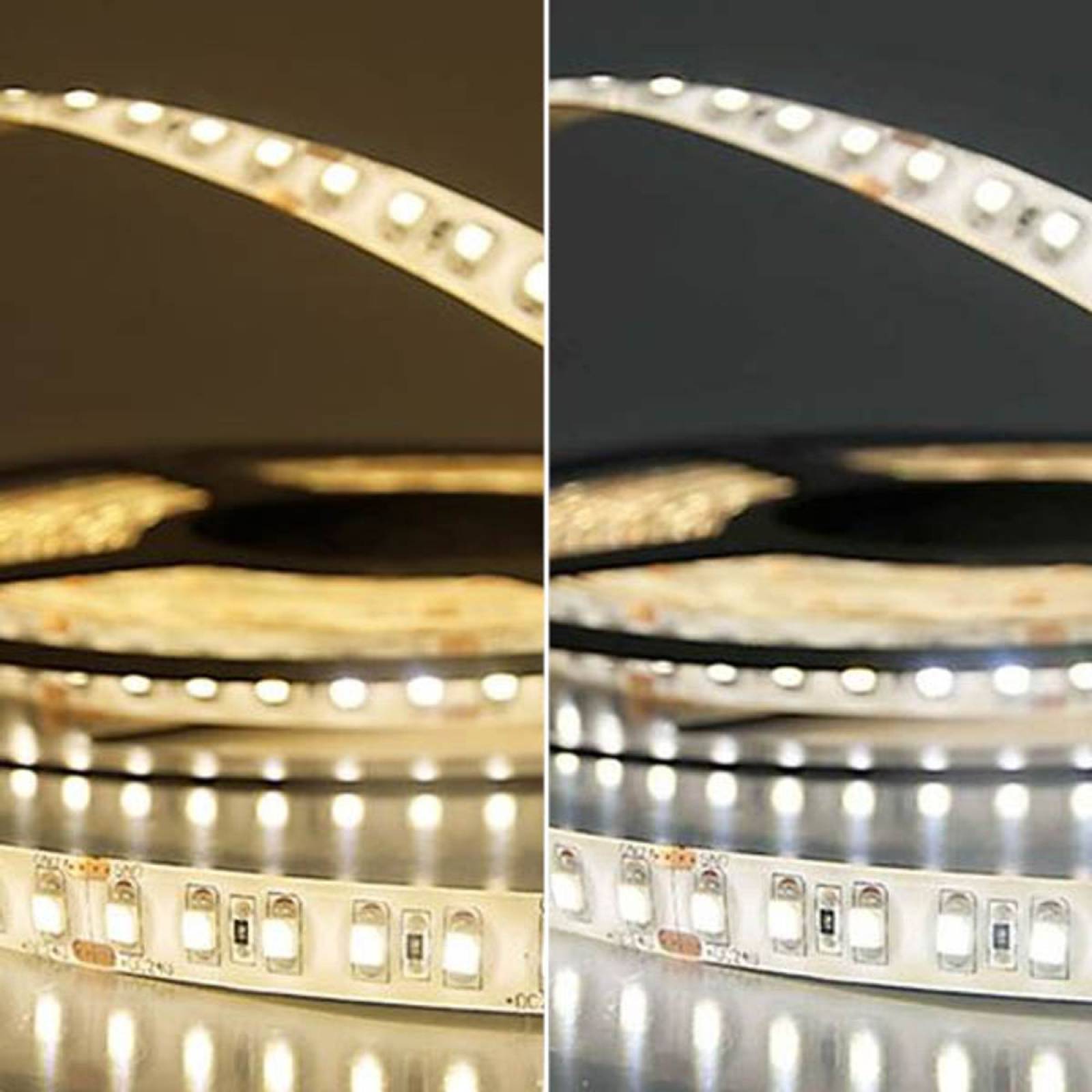 ISOLED LED Stripe 12V SIL 9,6W, einfarbig, IP66, 5m Rolle 120 LED/m