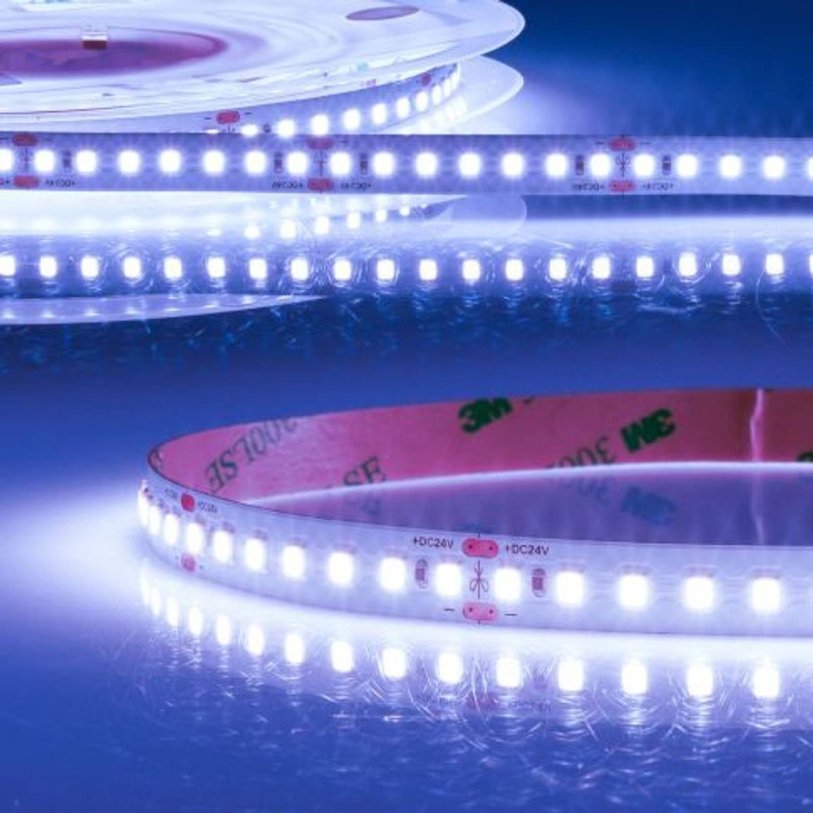 ISOLED LED Stripe 24V FOOD 14,4W/m, Fish, Fischbeleuchtung, 5m Rolle