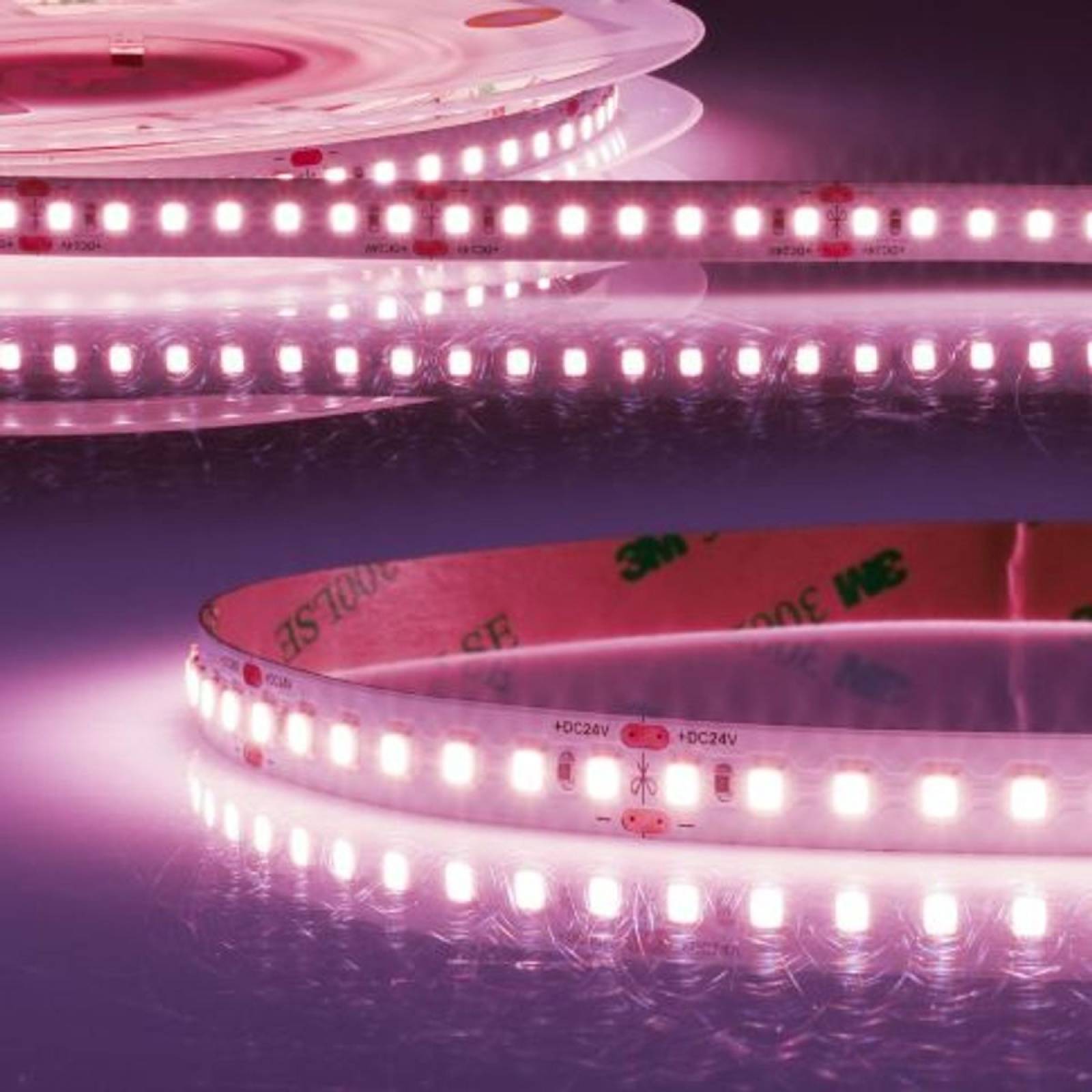ISOLED LED Stripe 24V FOOD 14,4W/m, Meat, rotes Fleisch, 5m Rolle