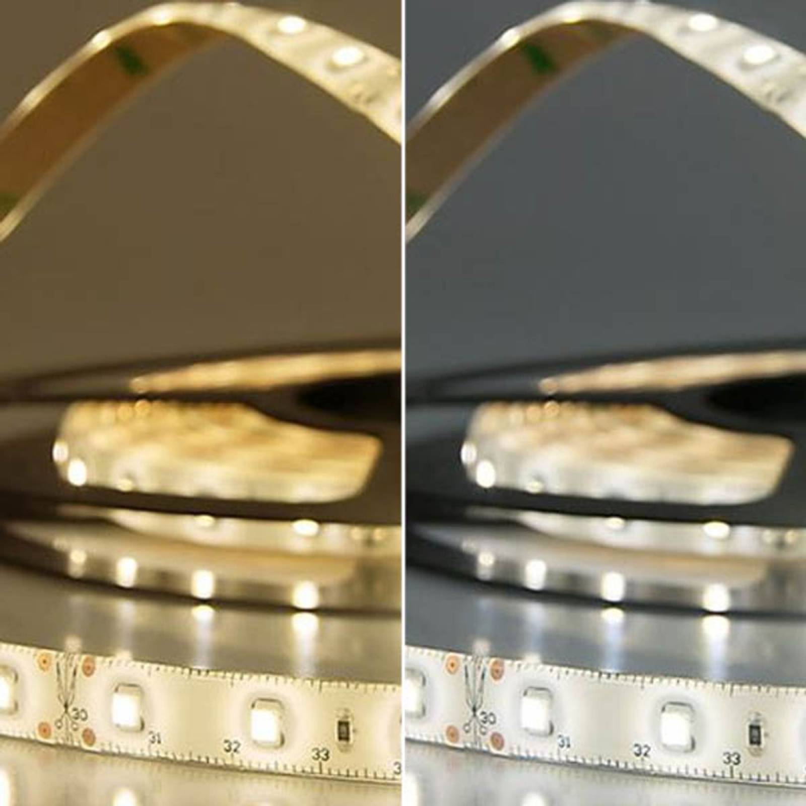 ISOLED LED Stripe 24V SIL 4,8W, einfarbig, IP66, 5m Rolle 60 LED/m