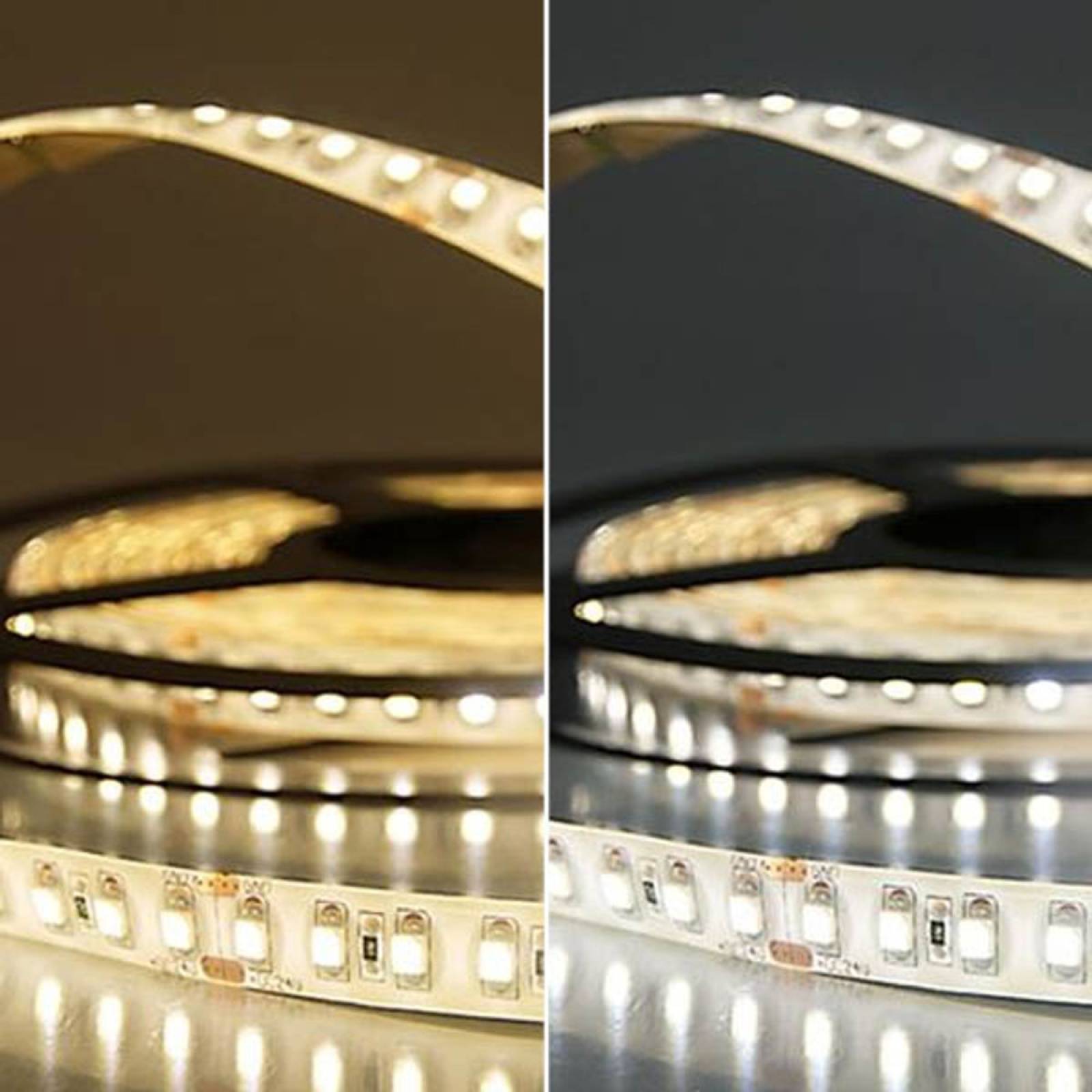 ISOLED LED Stripe 24V SIL 9,6W, einfarbig, IP66, 5m Rolle 120 LED/m