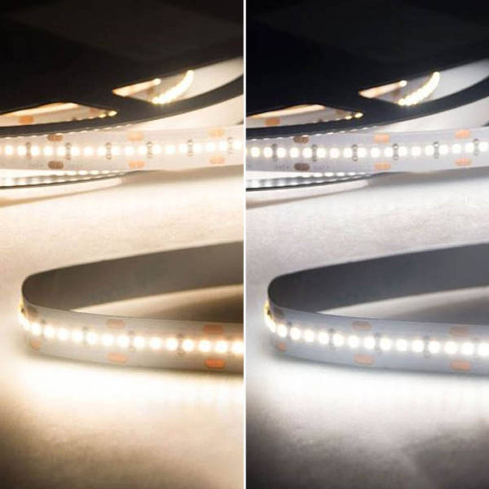 ISOLED LED Stripe Linear10 CRI90+, 24V DC, 22W/m, IP20, einfarbig, 5m/20m