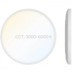 Rundes LED Panel 300x28mm CCT 3000K/4000K/6000K mit DIP-Schalter, 18W, IP54