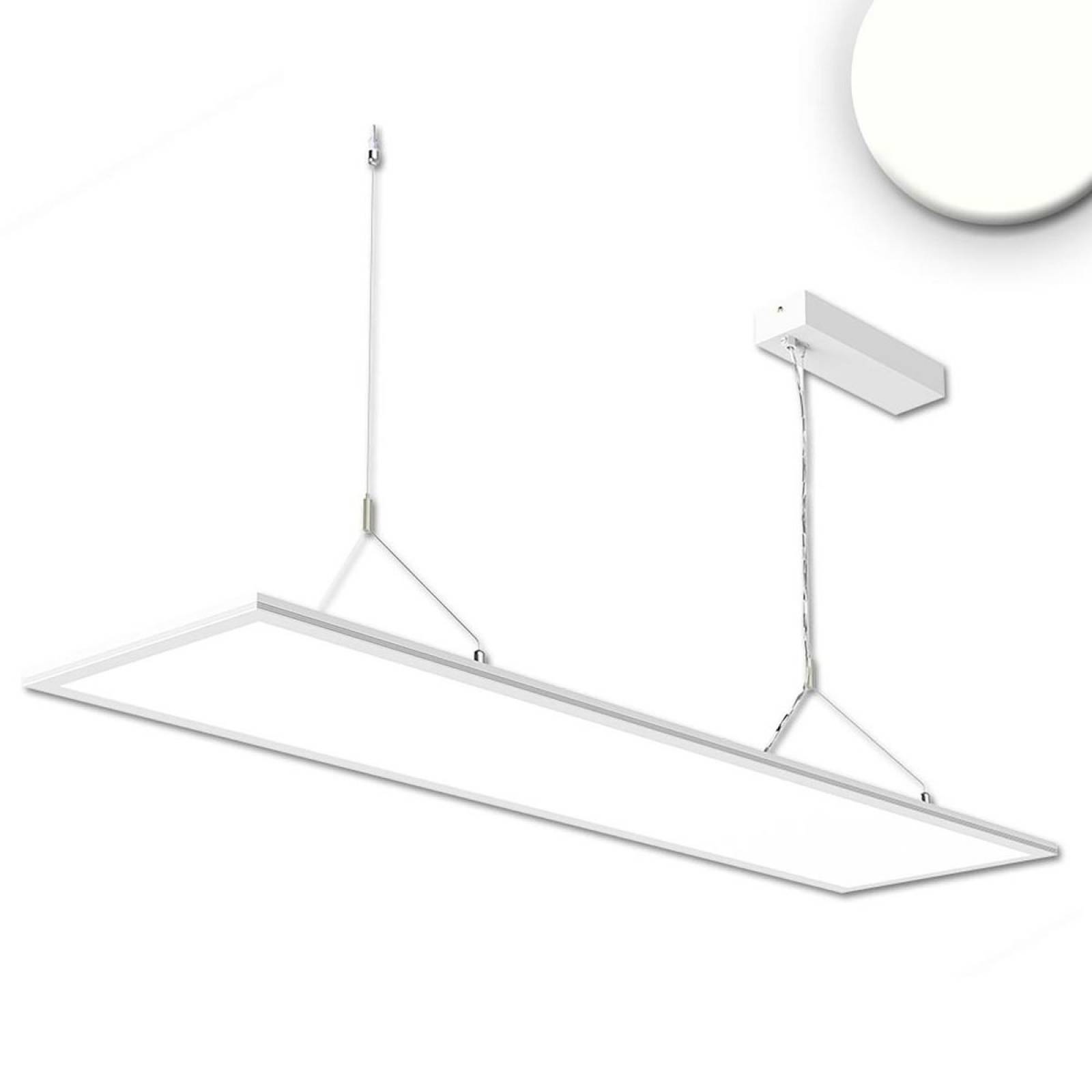LED B�ro H�nge-/ Pendelleuchte Panel Up+Down, 20+20W, 30x120cm, wei�, UGR19, 4000K, dimmbar, eckig