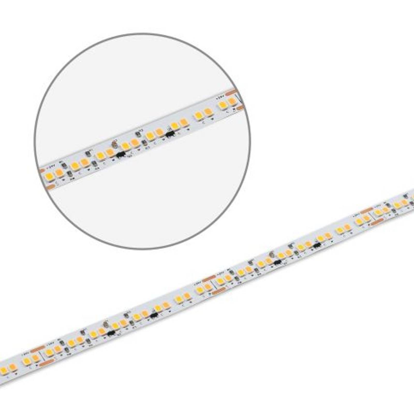 LED CRI90 Sunset Dim-to-warm Flexband, 24V DC, 12W/m, 1100lm/m, 1800-3000K, 224 LED/m