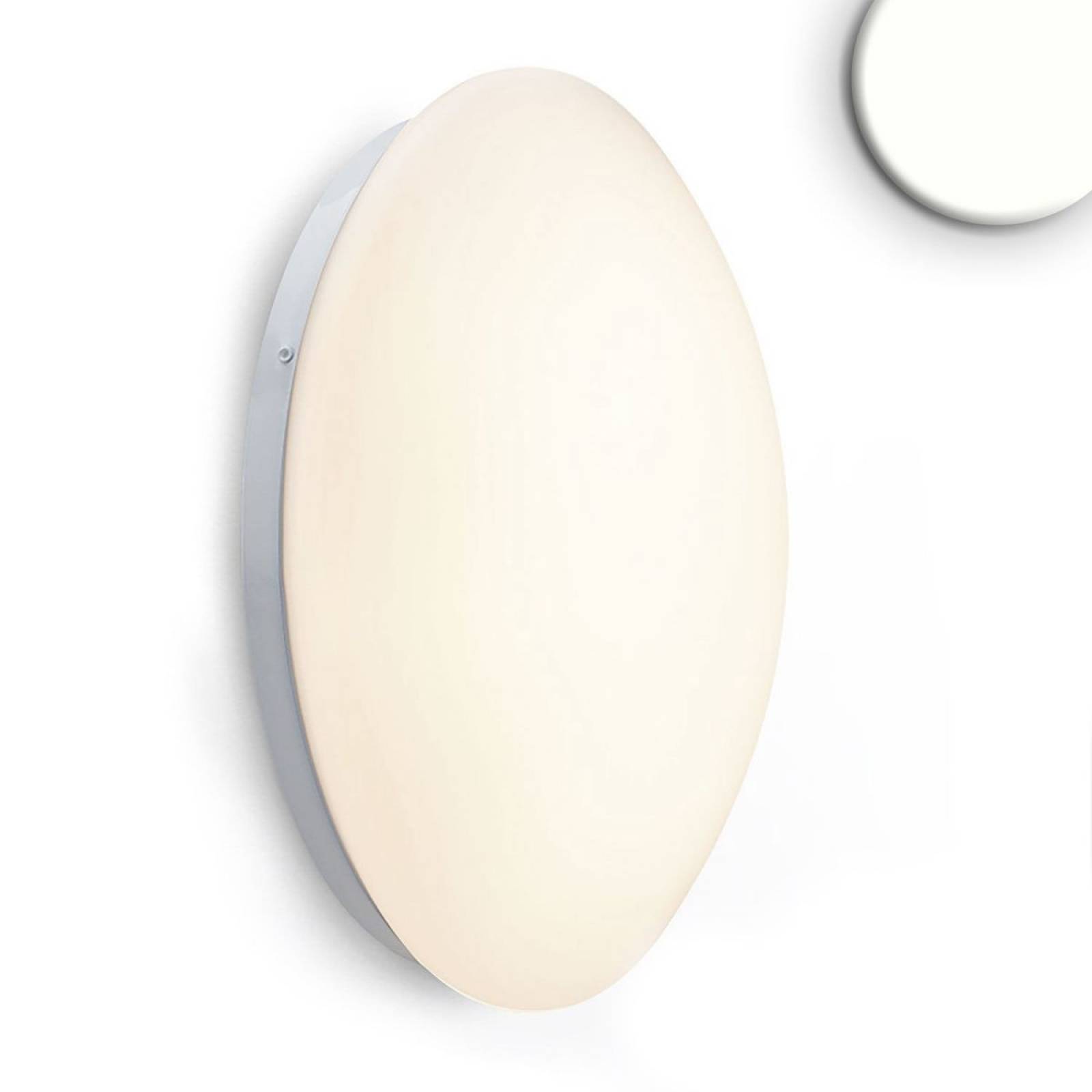 LED Decken/Wandleuchte 24W, wei�, IP54, neutralwei�