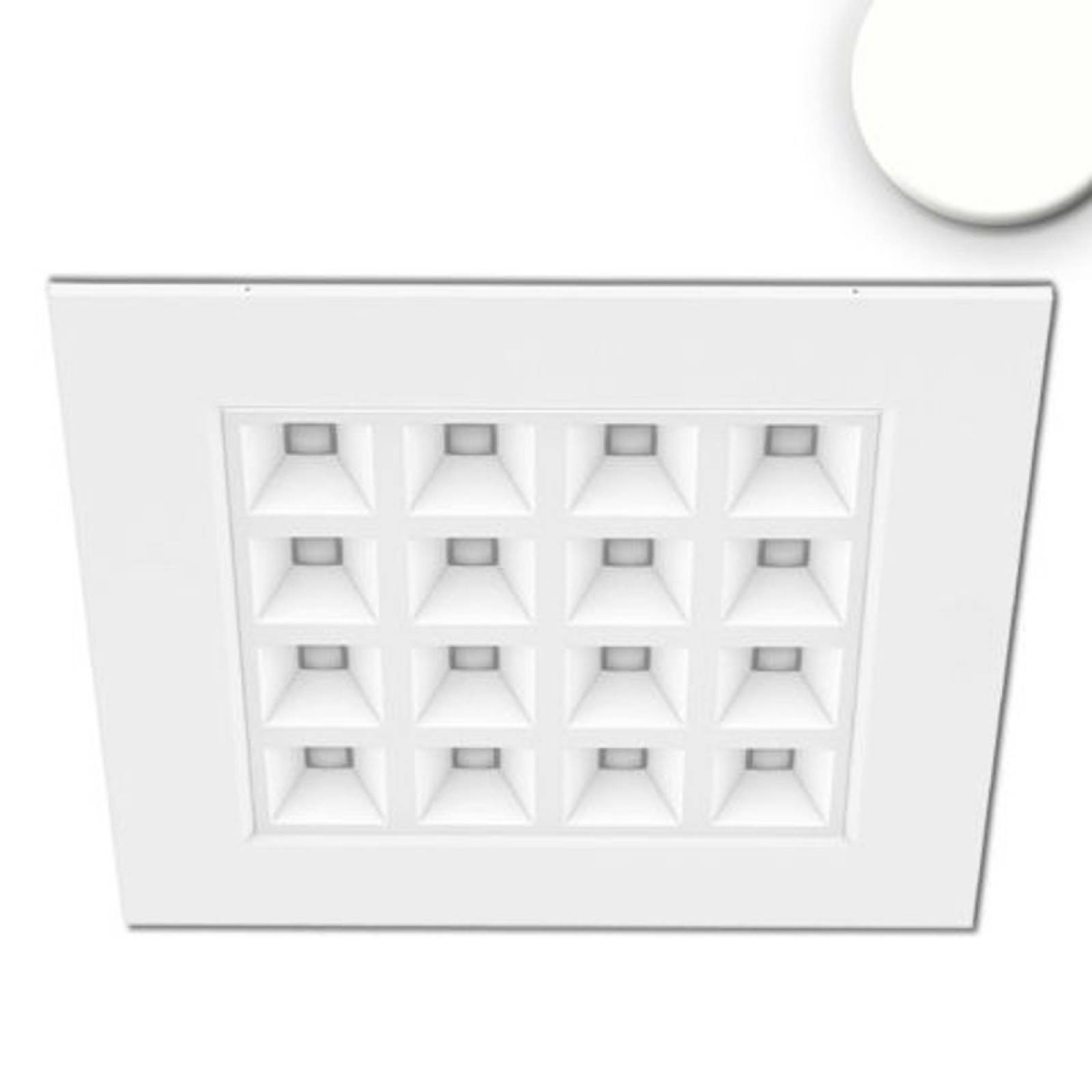 LED Panel Raster Line 625, UGR<16, 36W, 4000K neutralwei�, 230V dimmbar