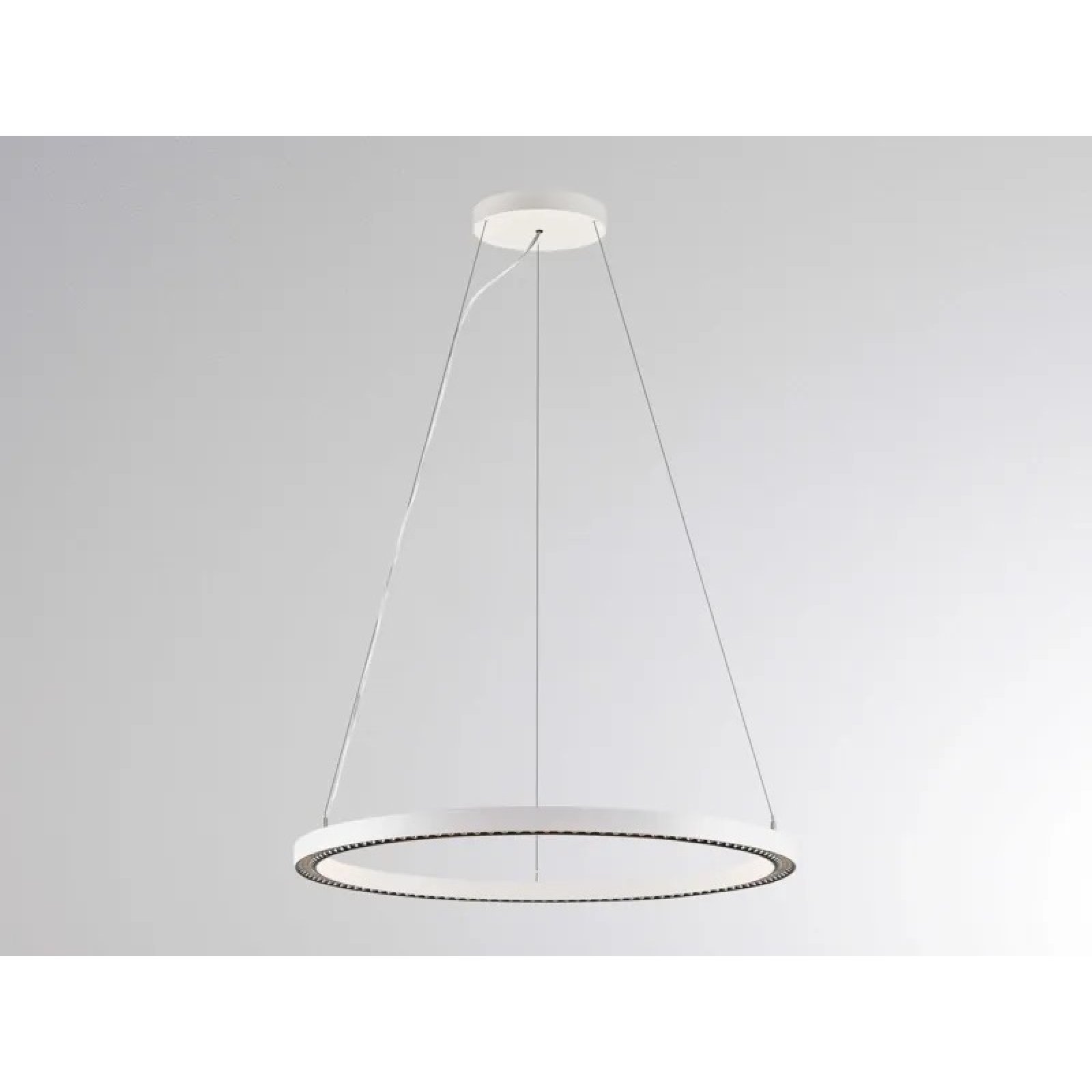 LED Ring-Pendelleuchte PERFORA PRO L wei�, UGR<19, direkt & indirekt
