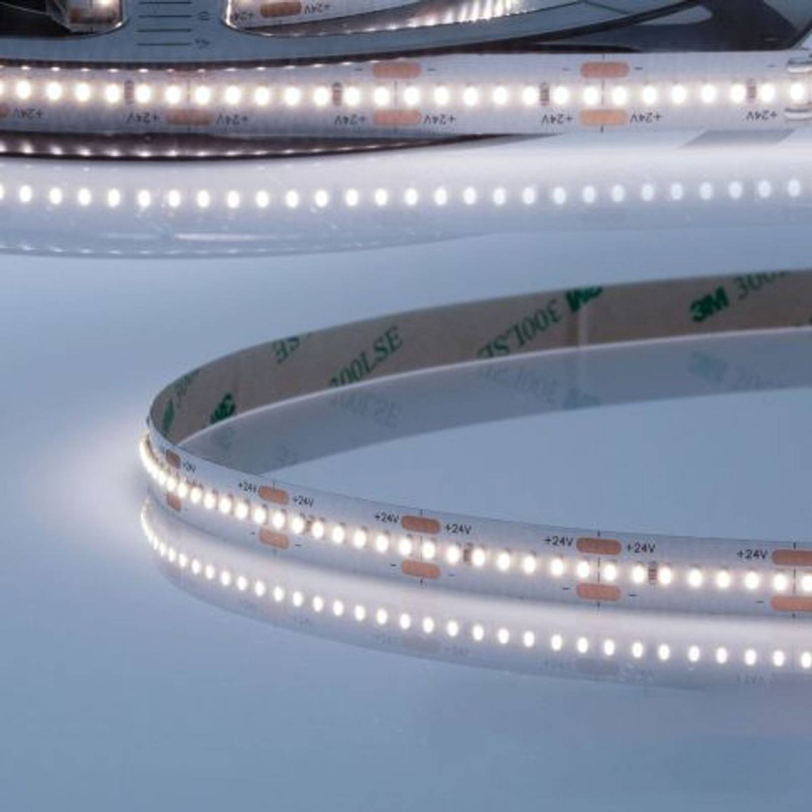 LED Stripe 24V Linear8 Flexband 15W/m, CRI90+, 6000K kaltwei�, 5m