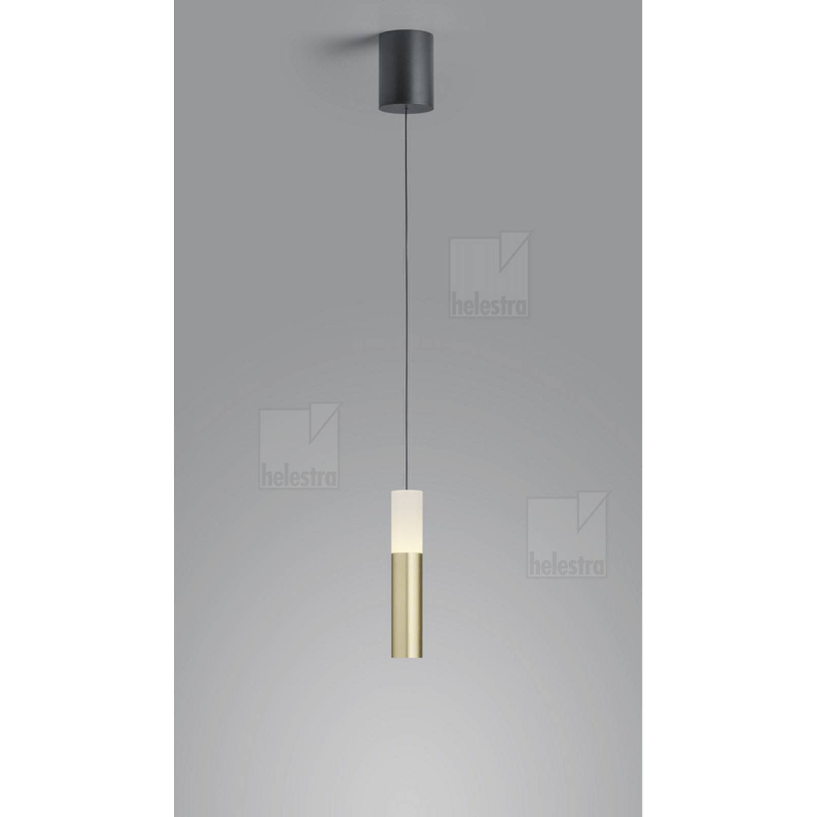 LIDOS LED Pendelleuchte schwarz-gold 11W, 2700K, 10-1800mm h�henverstellbar