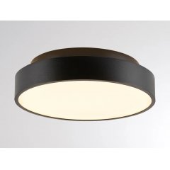 Deckenaufbauleuchte DESCO PRO S �26cm schwarz IP54, direkt-indirekt