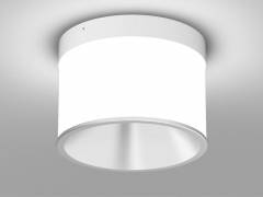 Deckenaufbauleuchte DARK NIGHT LGP SDI 40W, Wei�, Silber, DALI, 2700K