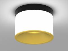 Deckenaufbauleuchte DARK NIGHT LGP SDI 40W, Schwarz, Gold, DALI, 2700K