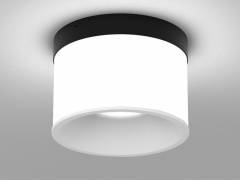 Deckenaufbauleuchte DARK NIGHT LGP SDI 40W, Schwarz, Wei�, DALI, 2700K