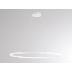 LED Ring-Pendelleuchte PERFORA XL 120cm wei�, 2700K/3000K umschaltbar