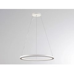LED Ring-Pendelleuchte PERFORA PRO L wei�, UGR<19, direkt & indirekt