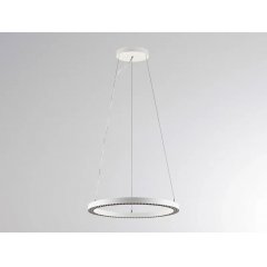 LED Ring-Pendelleuchte wei� PERFORA PRO M UGR<19, direkt & indirekt