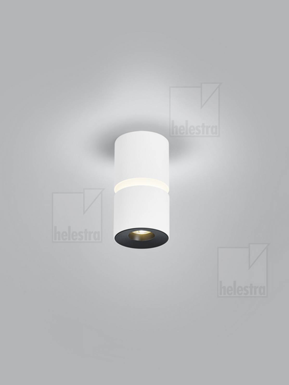 ROK Deckenleuchte wei� matt 10W dimmbar, 2700K, verstellbar 20-60�, �80mm