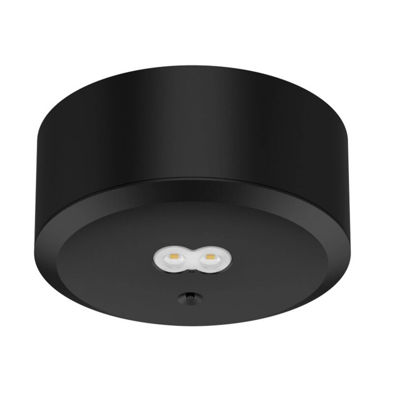 Schwarzes Geh�use f�r DOTLUX LED-Sicherheitsleuchte EXITtop